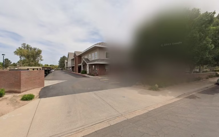 59671 top leaf tree service 3 768x480