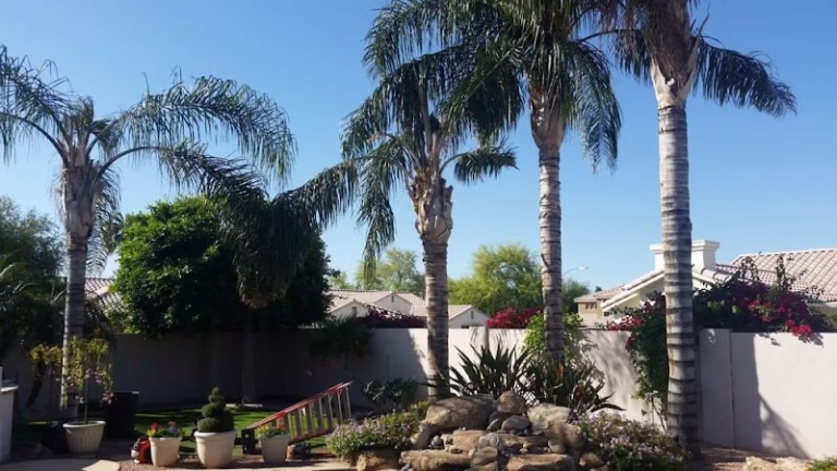 59686 tdr tree solutions 1 768x432