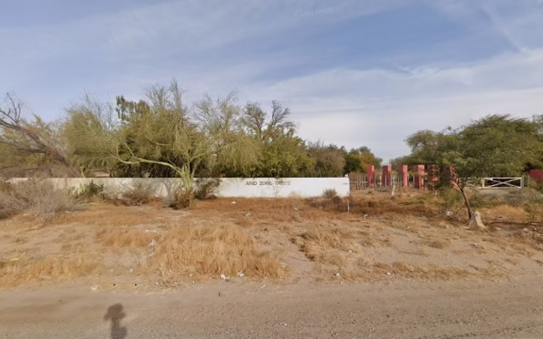 59712 arid zone trees 768x480