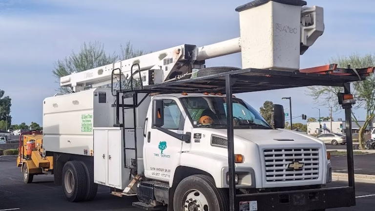 59723 all about trees 768x432