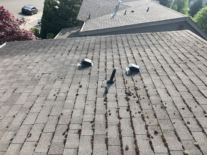 5973 wrights roof cleaning 1