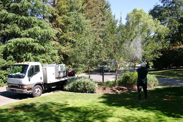 59841 acorn arboricultural services 1