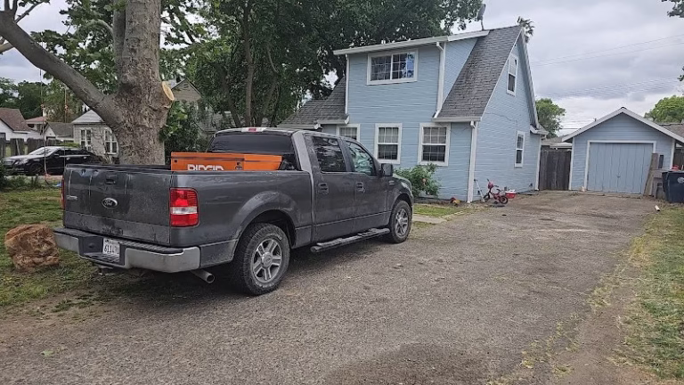 59865 yil tree service 1 768x432