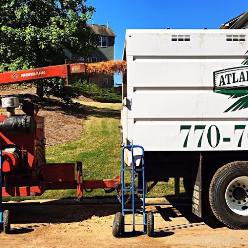 59942 atlanta arbor marietta tree service 1