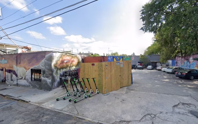 60023 new visions trees and landscaping 768x480