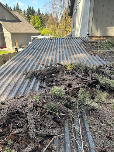 6005 ht window gutter cleaning 1