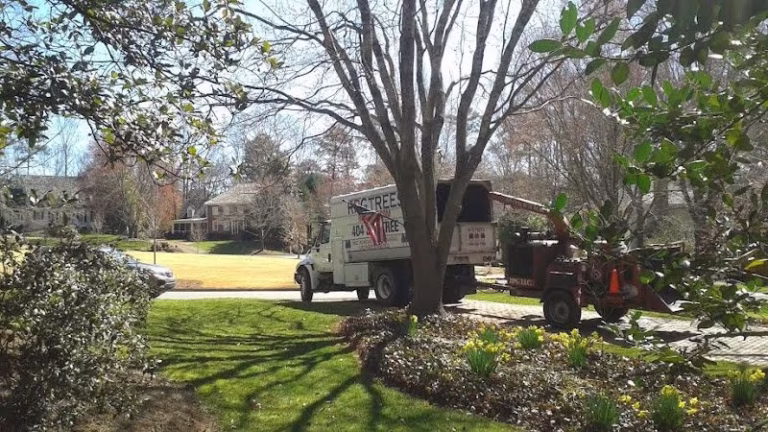 60050 rpg atlanta tree service 768x432