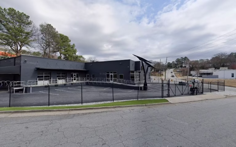 60059 top tree care 1 768x480