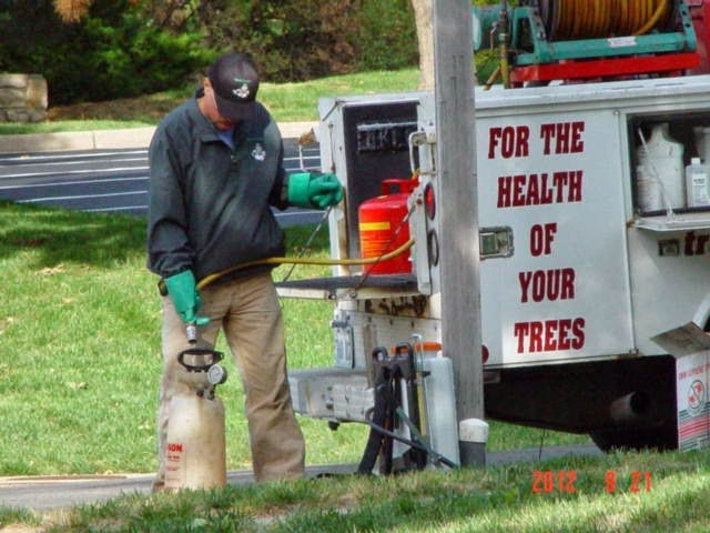 60091 tree doctor of kansas city llc 1