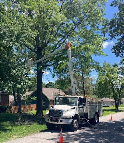 60136 happy lemon tree service 1