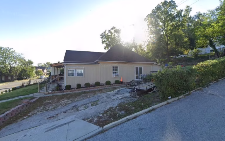 60181 luis tree service 768x480