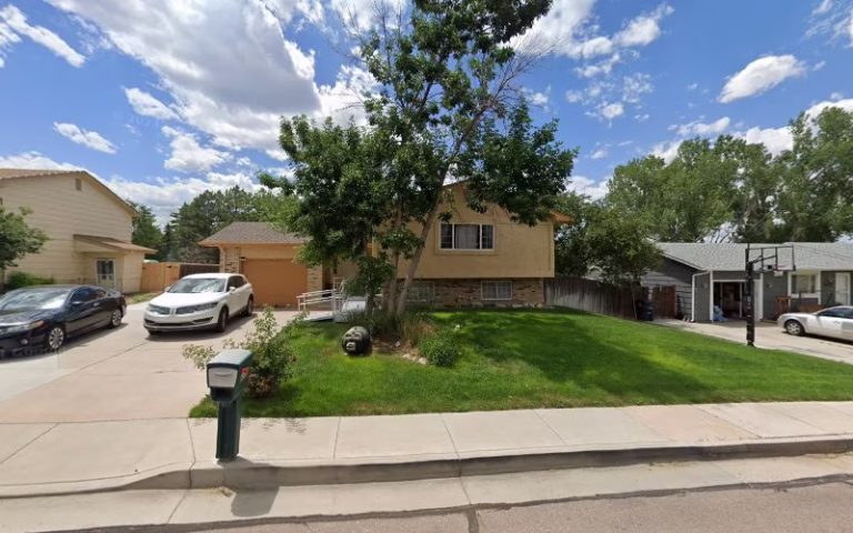 60279 bugfree tree shrub spray 1 768x480