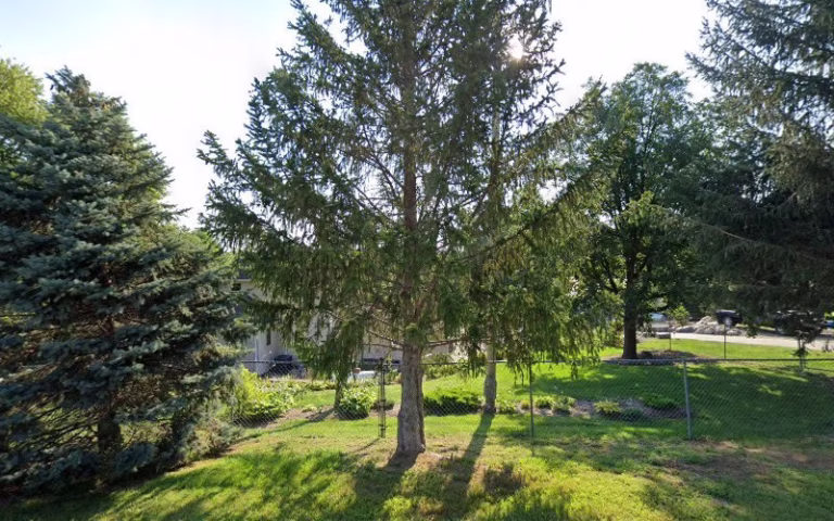 60448 roots tree service 768x480