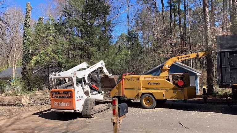 60472 triangle tree pros 768x432