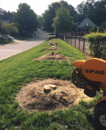 60496 raleigh stump grinding 1