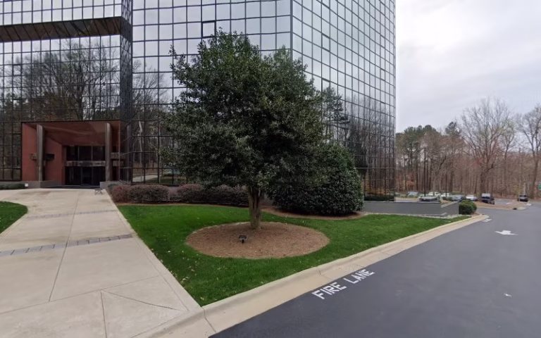 60549 oaks city tree removal co 1 768x480