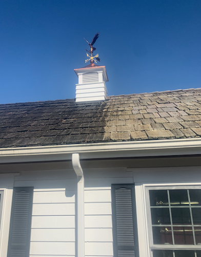 6056 experienced roof gutter cleaning 1