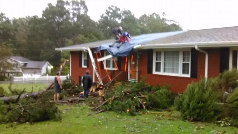 60570 goodwins tree service 1 768x432