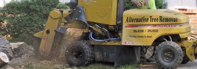 60579 alternative tree removal 768x270