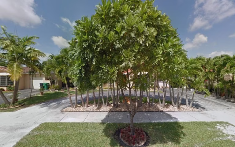 60703 the green team advance tree care inc 1 768x480