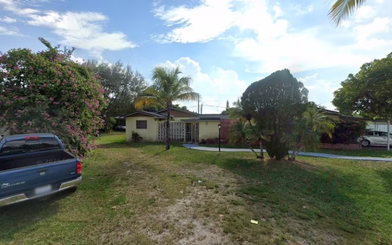 60718 nu tree service 1 768x480