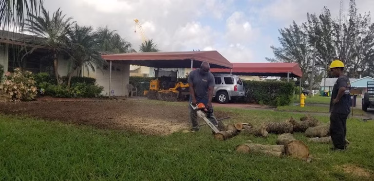 60733 suncity stump removal inc 768x372