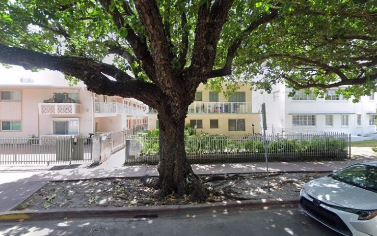 60756 bayamito tree trimming corp 768x480