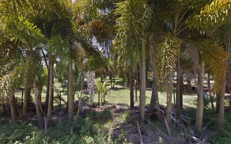 60768 torres tree hauling 768x480