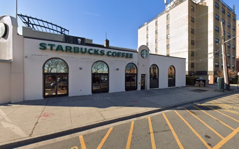 60780 long beach tree services experts 1 768x480