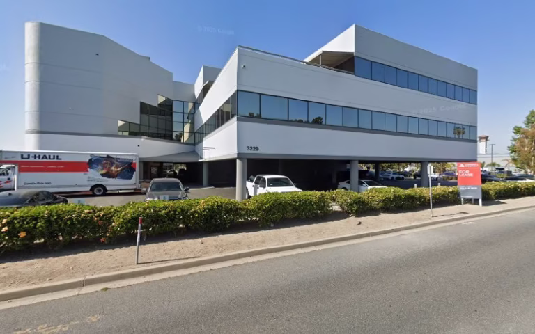 60783 tree service experts long beach 1 768x480