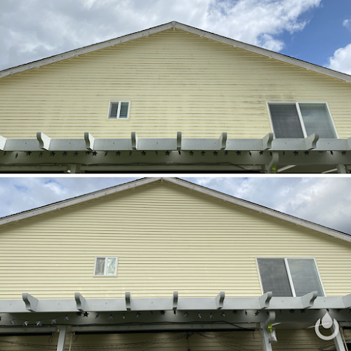 6080 power clean pro services 1