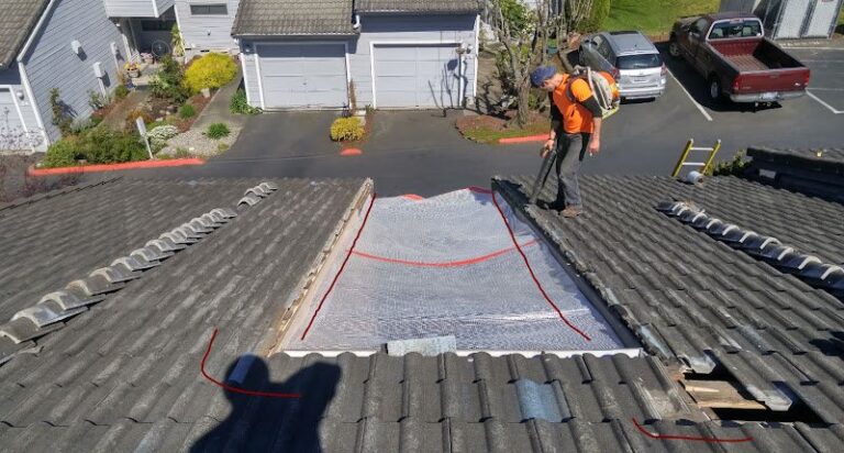 6083 davids roof cleaning llc 768x412