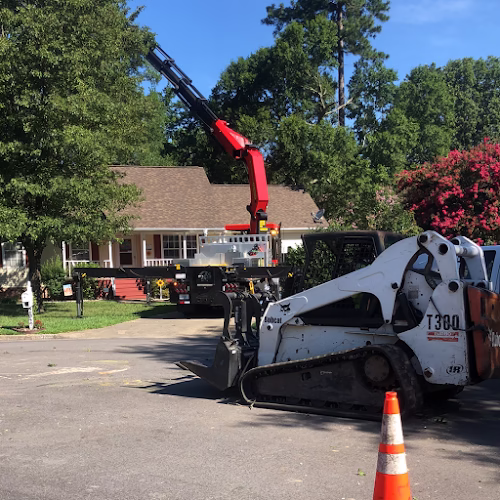 60862 jjs tree and lawn llc 1