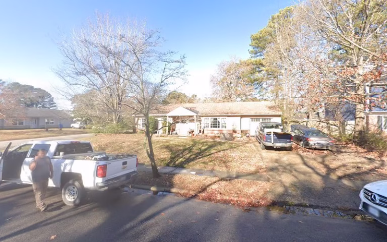 60940 alley tree removal 1 768x480