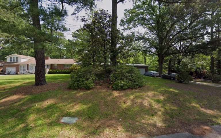 60952 steve tree services 1 768x480