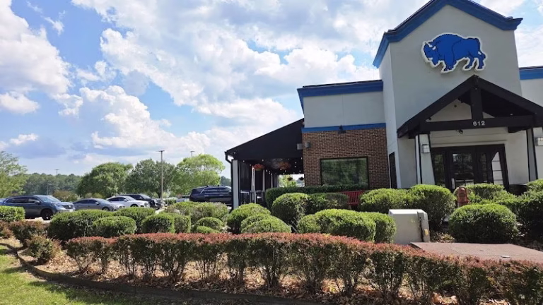 60958 blue heron group 768x432