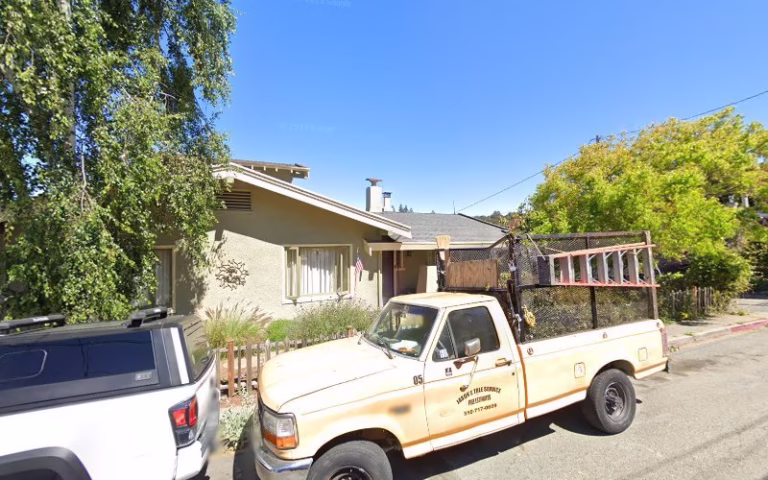 60981 jasons tree service 768x480