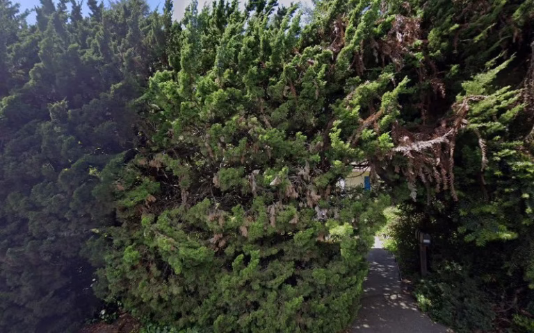 60987 specialized arbor works 1 768x480