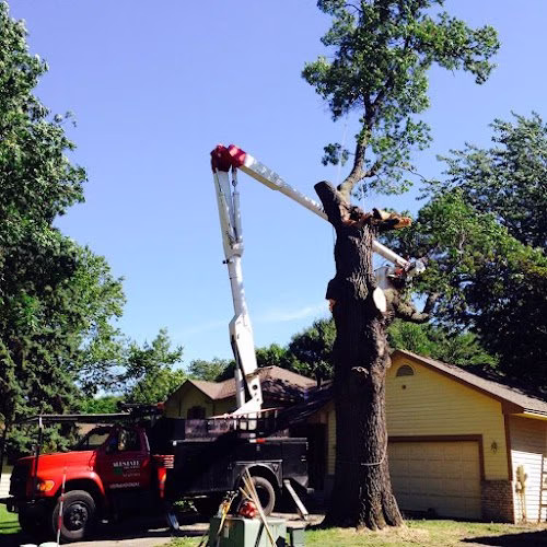 61104 allstate tree service 1