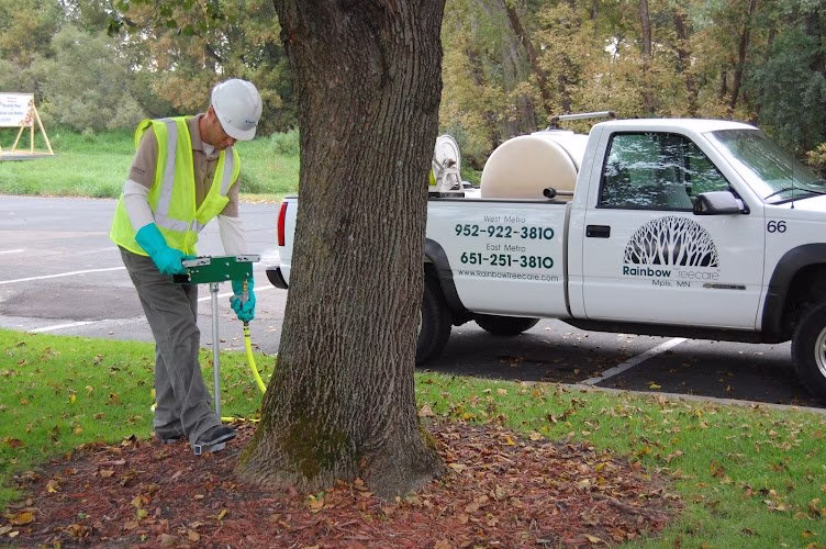 61116 rainbow treecare 1