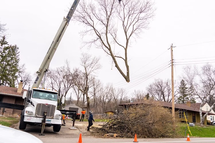 61152 sorenson tree service 1