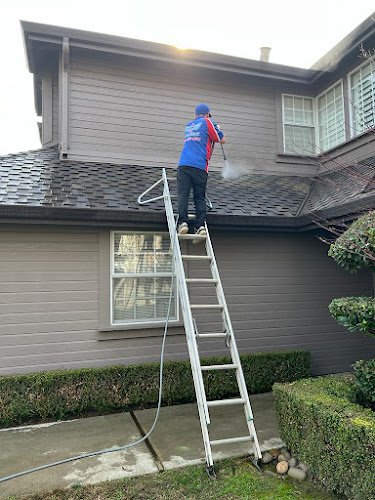 6125 angels window washing 1