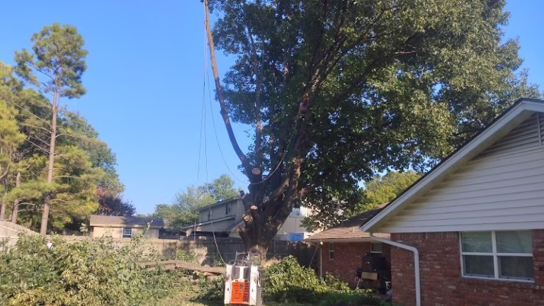 61251 kelley tree service 768x432