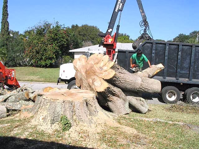 61312 cehand tree service and land clearing 1