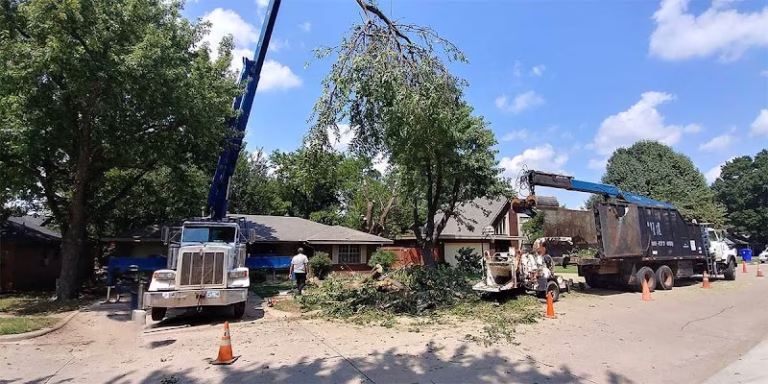 61318 tip top crane tree service 768x384