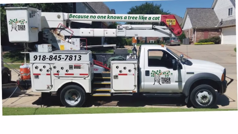 61360 tiger tree service 1 768x432