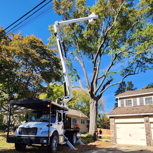 61428 arbor masters of fort worth 1