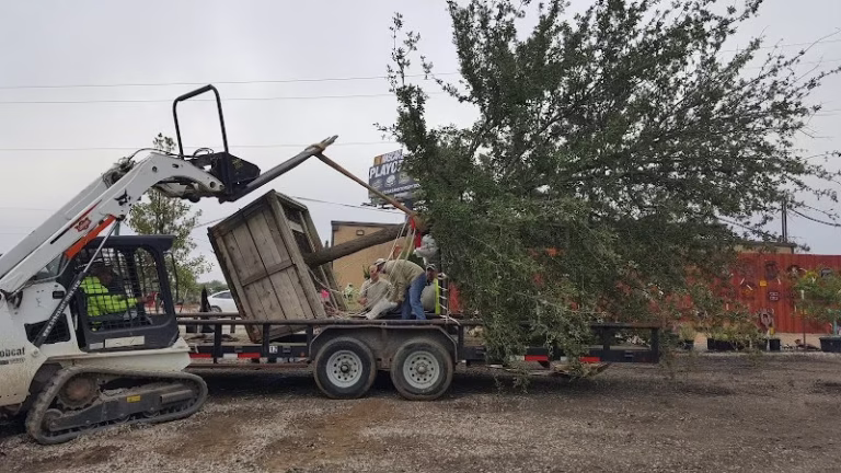 61480 the tree place nursery 1 768x432