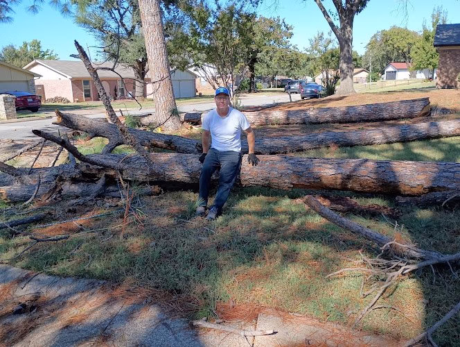 61483 stellar tree services llc 1