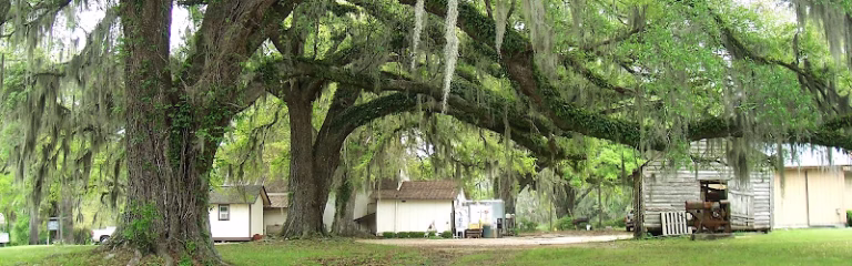 61533 panorama tree care 768x240